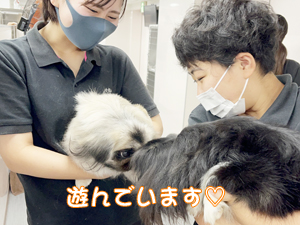 ドッグパークルームの生徒とモデル犬♪